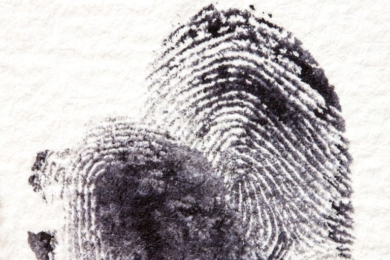 Salario De Un Criminologo En España